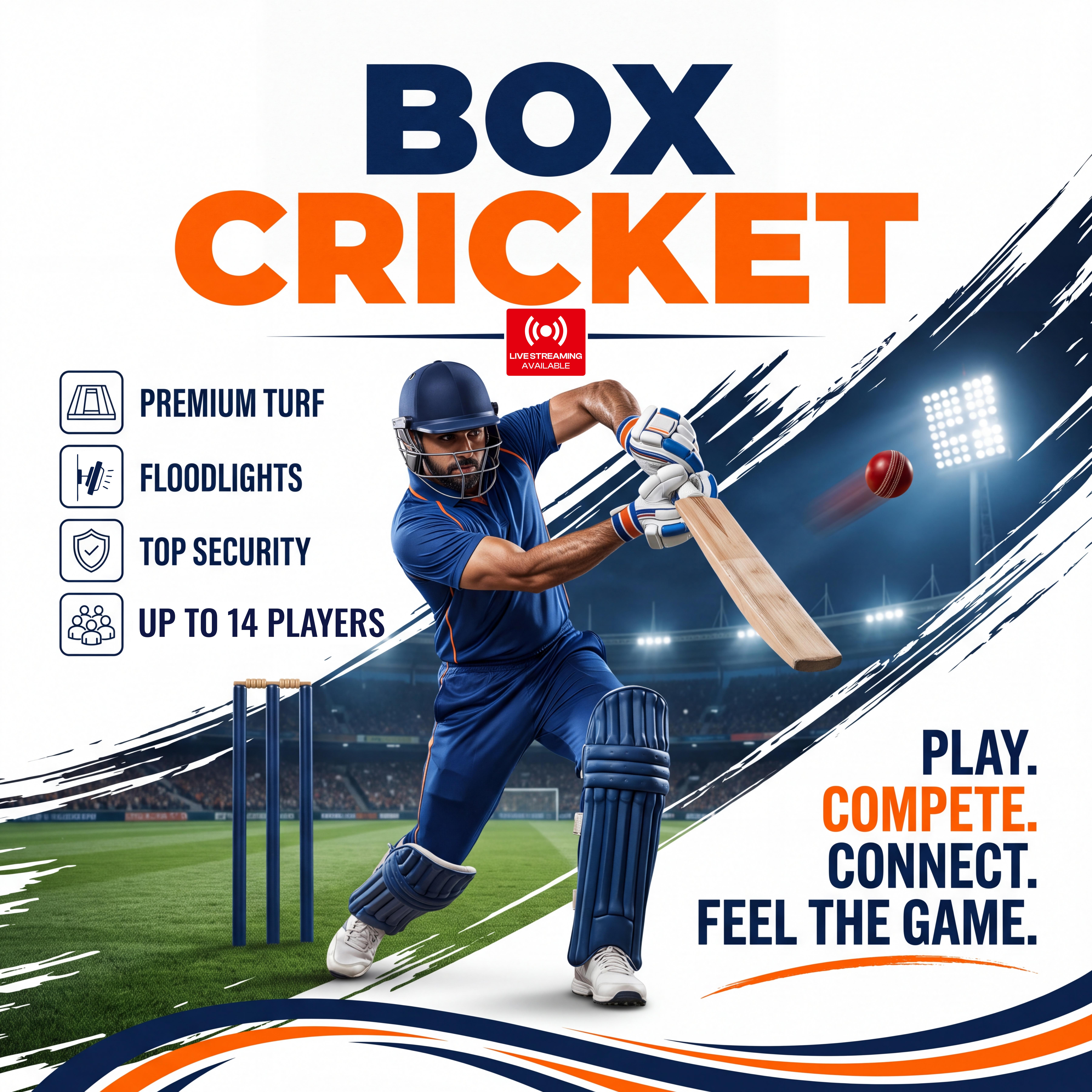FLIK Box Cricket poster
